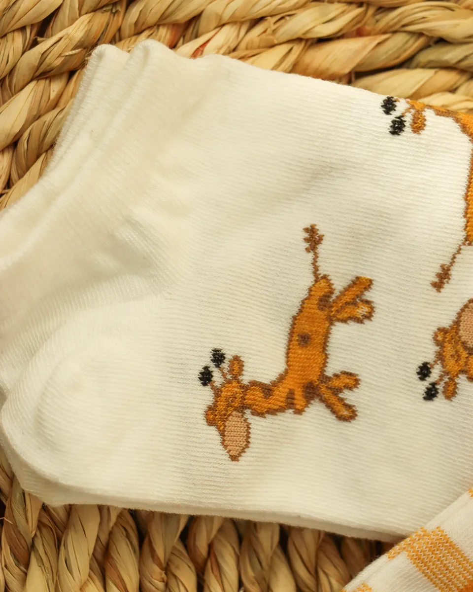 IMG_1761_6_11zon پک دو عددی جوراب مچی طرح دار زنانه 1155 - Image 7