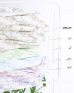 شومیز زنانه شکوفه 1753 - Image 4